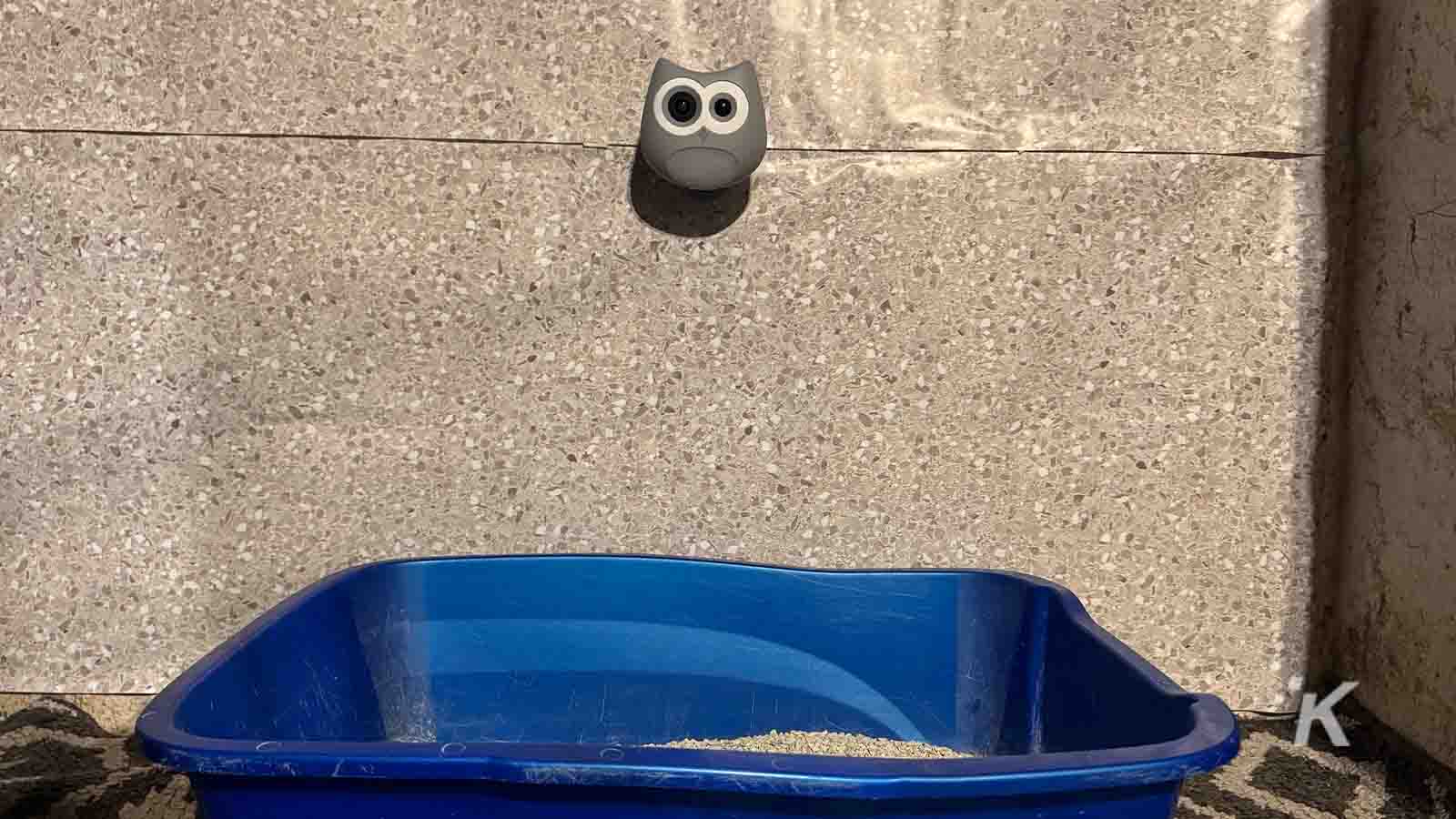 Blue litter box with owl decoration above