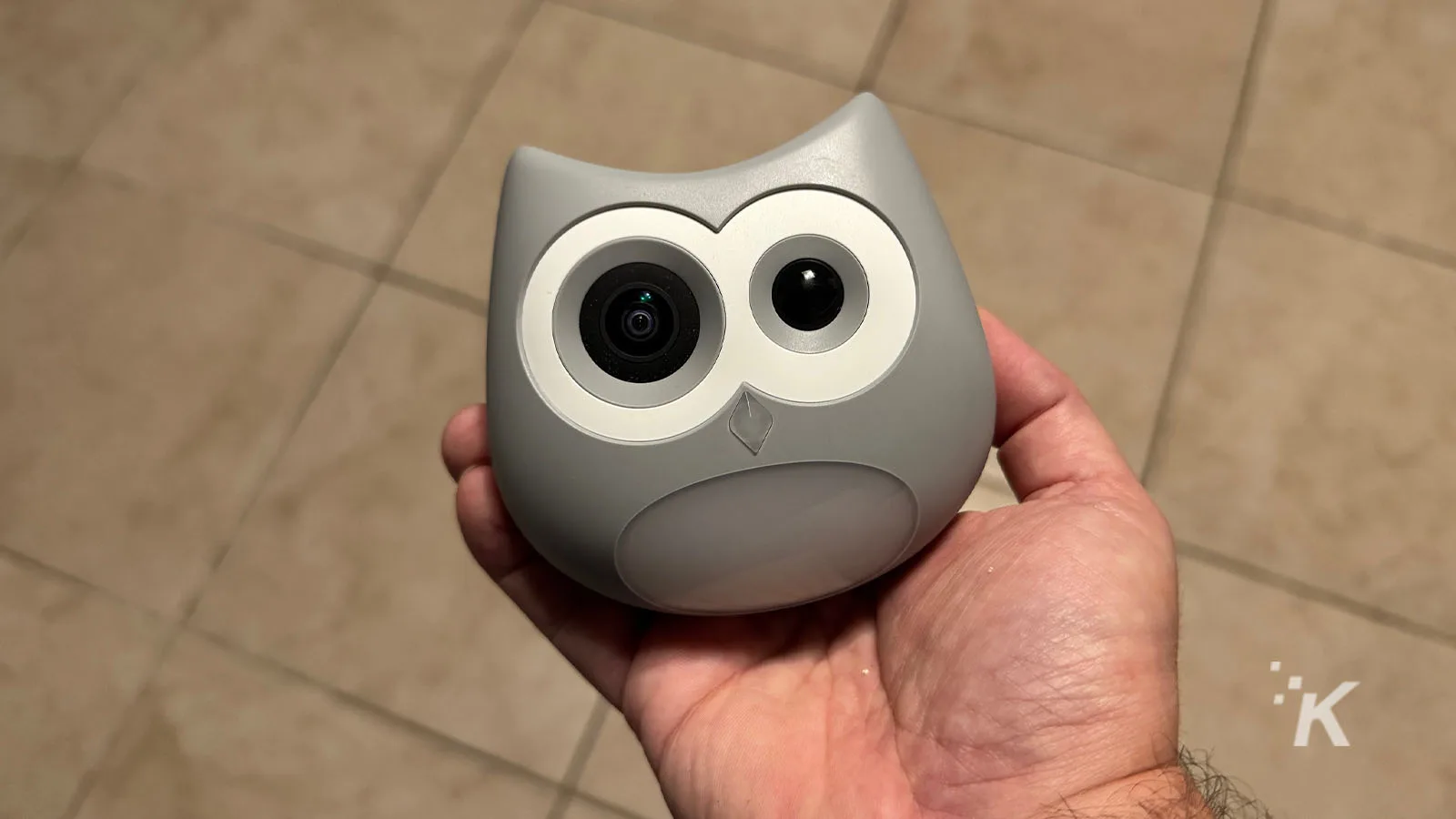 SiiPet LitterLens camera in hand on tiled floor.