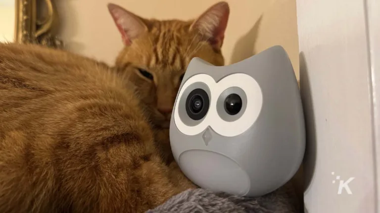 Cat resting beside SiiPet LitterLens